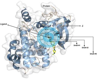 SE-OnionNet: A Convolution Neural Network for Protein–Ligand Binding Affinity Prediction